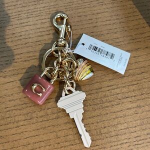 NWT Coach Signature C Lock Key Heart Cluster Bag Charm Keychain Pink Multi CP891